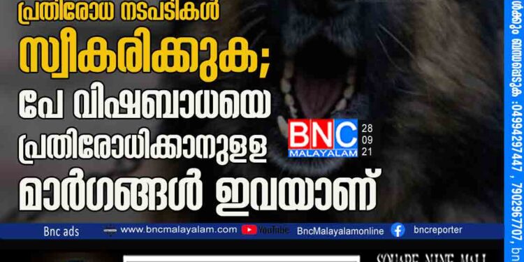 'അശാസ്ത്രീയമായ കുപ്രചരണങ്ങൾ ശ്രദ്ധിക്കാതെ പ്രതിരോധ നടപടികൾ സ്വീകരിക്കുക'; പേ വിഷബാധയെ പ്രതിരോധിക്കാനുള‌ള മാർഗങ്ങൾ ഇവയാണ്