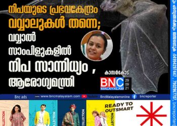 നിപയുടെ പ്രഭവകേന്ദ്രം വവ്വാലുകള്‍ തന്നെ; വവ്വാല്‍ സാംപിളുകളില്‍ നിപ സാന്നിധ്യം,ആരോഗ്യമന്ത്രി