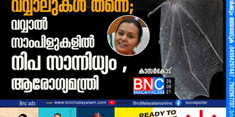 നിപയുടെ പ്രഭവകേന്ദ്രം വവ്വാലുകള്‍ തന്നെ; വവ്വാല്‍ സാംപിളുകളില്‍ നിപ സാന്നിധ്യം,ആരോഗ്യമന്ത്രി