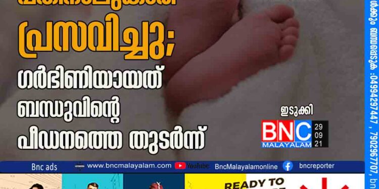 അടിമാലി താലൂക്ക് ആശുപത്രിയില്‍ പതിനാലുകാരി പ്രസവിച്ചു; ഗര്‍ഭിണിയായത് ബന്ധുവിന്റെ പീഡനത്തെ തുടര്‍ന്ന്