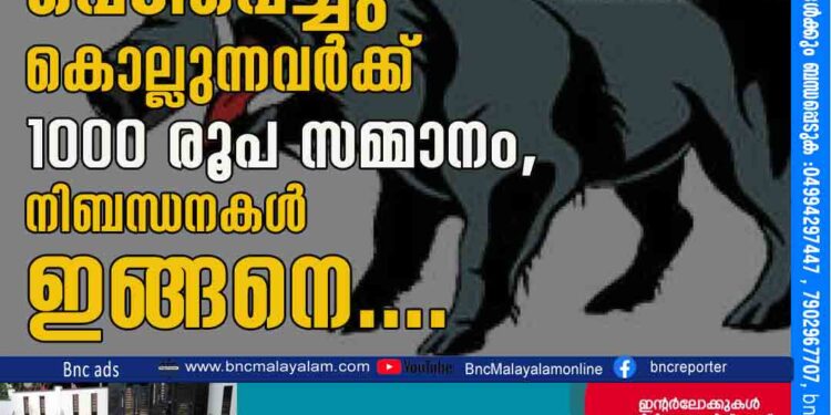 നിലമ്പൂരിൽ കാട്ടുപന്നിയെ വെടിവെച്ചു കൊല്ലുന്നവര്‍ക്ക് 1000 രൂപ സമ്മാനം, നിബന്ധനകൾ ഇങ്ങനെ....