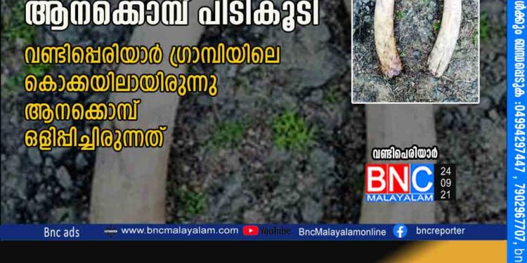 പാറയിടുക്കില്‍ ഒളിപ്പിച്ച ആനക്കൊമ്പ്‌ പിടികൂടി . വണ്ടിപ്പെരിയാര്‍ ഗ്രാമ്പിയിലെ കൊക്കയിലായിരുന്നു ആനക്കൊമ്പ്‌ ഒളിപ്പിച്ചിരുന്നത്‌.