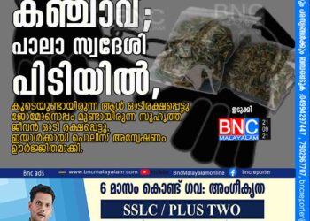 അരിസഞ്ചിയില്‍ ഒളിപ്പിച്ച് കഞ്ചാവ്; പാലാ സ്വദേശി പിടിയില്‍, കൂടെയുണ്ടായിരുന്ന ആള്‍ ഓടിരക്ഷപ്പെട്ടു