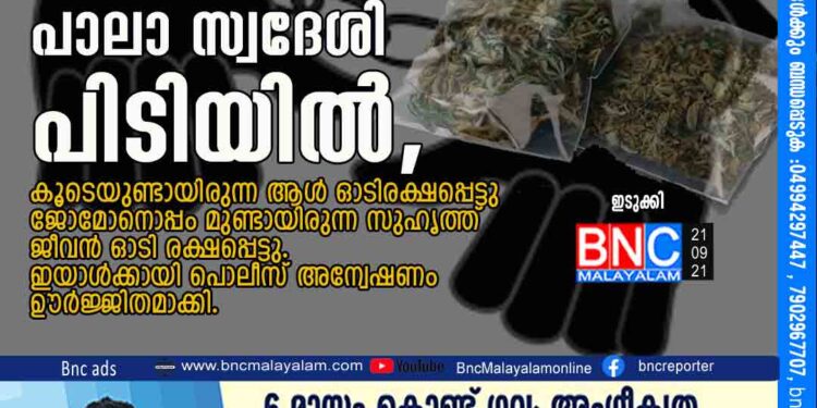 അരിസഞ്ചിയില്‍ ഒളിപ്പിച്ച് കഞ്ചാവ്; പാലാ സ്വദേശി പിടിയില്‍, കൂടെയുണ്ടായിരുന്ന ആള്‍ ഓടിരക്ഷപ്പെട്ടു