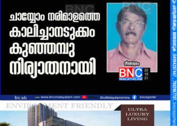 ചായ്യോം നരിമാളത്തെ കാലിച്ചാനടുക്കം കുഞ്ഞമ്പു നിര്യാതനായി.