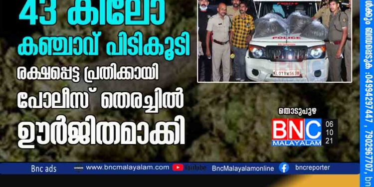 മോഷ്‌ടിച്ച കാറില്‍ കടത്തിയ 43 കിലോ കഞ്ചാവ്‌ പിടികൂടി രക്ഷപ്പെട്ട പ്രതിക്കായി പോലീസ്‌ തെരച്ചില്‍ ഊര്‍ജിതമാക്കി.