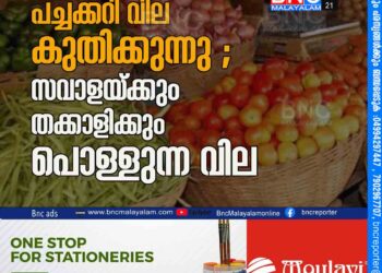 പച്ചക്കറി വില കുതിക്കുന്നു ; സവാളയ്ക്കും തക്കാളിക്കും പൊള്ളുന്ന വില