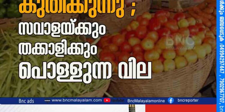 പച്ചക്കറി വില കുതിക്കുന്നു ; സവാളയ്ക്കും തക്കാളിക്കും പൊള്ളുന്ന വില