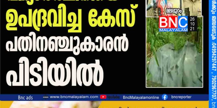 ഇയാളുടെ ദേഹത്തും പരിക്കുകള്‍ കണ്ടിരുന്നു. എന്നാല്‍ നായ കടിക്കാന്‍ വന്നപ്പോള്‍ ഓടിരക്ഷപ്പെടുന്നതിനിടെ സംഭവിച്ചതാണെന്നായിരുന്നു ആദ്യം മറുപടി. എന്നാല്‍ പോലീസിന്റെ ചോദ്യം ചെയ്യലില്‍ പ്രതി കുറ്റം സമ്മതിക്കുകയായിരുന്നു.