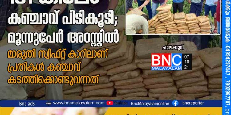 ചാലക്കുടിയിൽ 181 കിലോ കഞ്ചാവ് പിടികൂടി; മൂന്നുപേർ അറസ്റ്റിൽ മാരുതി സ്വിഫ്റ്റ് കാറിലാണ് പ്രതികൾ കഞ്ചാവ് കടത്തിക്കൊണ്ടുവന്നത്