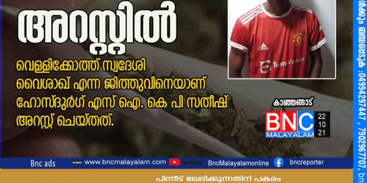 കഞ്ചാവ് കേസിൽ രക്ഷപ്പെട്ട പ്രതി അറസ്റ്റിൽ