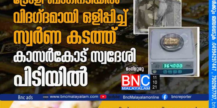 വീണ്ടും സ്വര്‍ണ വേട്ട മംഗ്‌ളുരു വിമാനത്താവളത്തില്‍ ട്രോളി ബാഗിനടിയില്‍ വിദഗ്ദമായി ഒളിപ്പിച്ച് സ്വർണ കടത്ത് കാസര്‍കോട് സ്വദേശി പിടിയില്‍