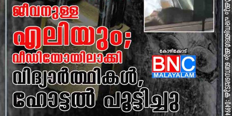 ചില്ല് കൂട്ടിൽ പലഹാരത്തിനൊപ്പം ജീവനുള്ള എലിയും; വീഡിയോയിലാക്കി വിദ്യാർത്ഥികൾ, ഹോട്ടൽ പൂട്ടിച്ചു