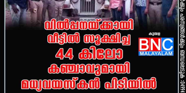 വിൽപ്പനയ്ക്കായി വീട്ടിൽ സൂക്ഷിച്ച 44 കിലോ കഞ്ചാവുമായി മധ്യവയസ്കൻ പിടിയിൽ