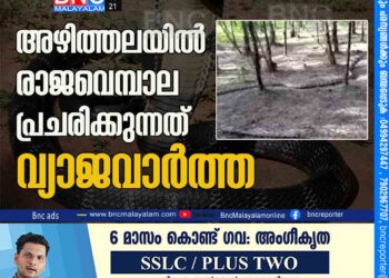 അഴിത്തലയിൽ രാജവെമ്പാല പ്രചരിക്കുന്നത് വ്യാജവാർത്ത