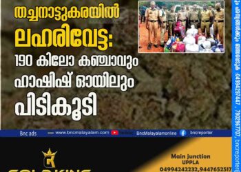 തച്ചനാട്ടുകരയിൽ ലഹരിവേട്ട: 190 കി​ലോ ക​ഞ്ചാ​വും ഹാ​ഷി​ഷ് ഓ​യി​ലും പി​ടി​കൂ​ടി