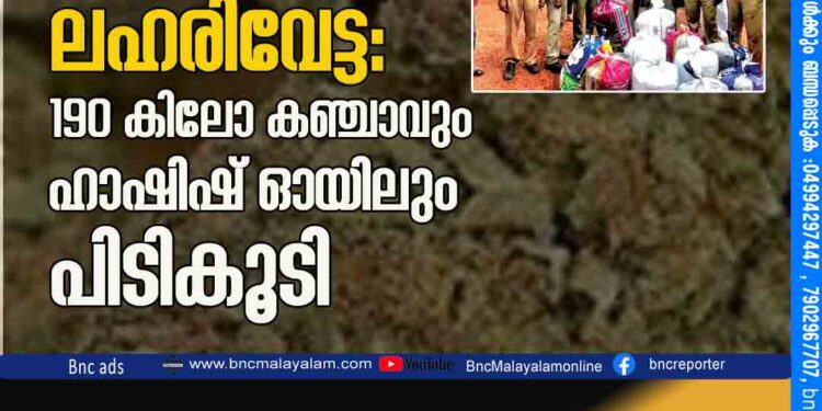 തച്ചനാട്ടുകരയിൽ ലഹരിവേട്ട: 190 കി​ലോ ക​ഞ്ചാ​വും ഹാ​ഷി​ഷ് ഓ​യി​ലും പി​ടി​കൂ​ടി