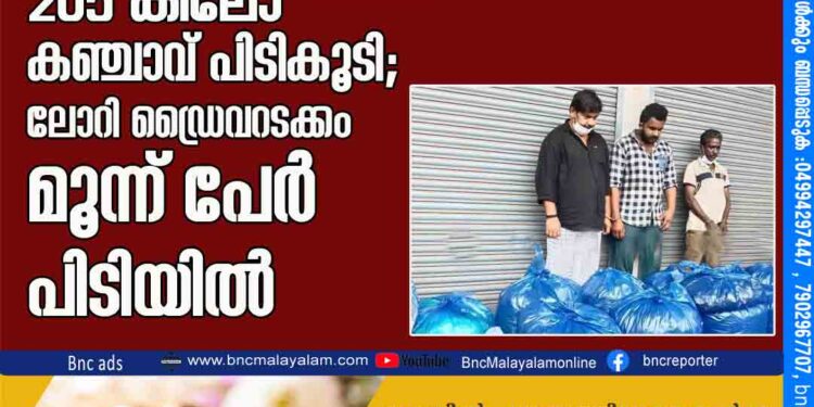 ആന്ധ്രയിൽ നിന്ന് കോഴിക്കോട്ടേക്ക് കടത്തിയ 205 കിലോ കഞ്ചാവ് പിടികൂടി; ലോറി ഡ്രൈവറടക്കം മൂന്ന് പേർ പിടിയിൽ