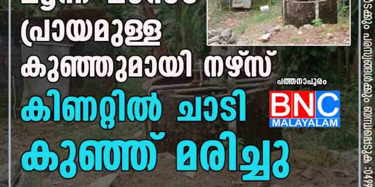 പത്തനാപുരത്ത് മൂന്ന് മാസം പ്രായമുള്ള കുഞ്ഞുമായി നഴ്‌സ് കിണറ്റില്‍ ചാടി; കുഞ്ഞ് മരിച്ചു