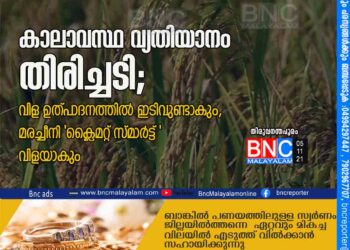 കാലാവസ്ഥ വ്യതിയാനം തിരിച്ചടി; വിള ഉത്പാദനത്തില്‍ ഇടിവുണ്ടാകും, മരച്ചീനി 'ക്ലൈമറ്റ് സ്മാര്‍ട്ട് 'വിളയാകും