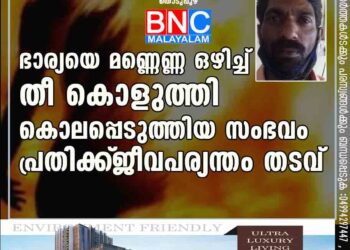 ഭാര്യയെ മണ്ണെണ്ണ ഒഴിച്ച്‌ തീ കൊളുത്തി കൊലപ്പെടുത്തിയ സംഭവം; പ്രതിക്ക്‌ ജീവപര്യന്തം തടവ്‌