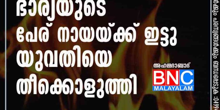 അയൽവാസിയുടെ ഭാര്യയുടെ പേര് നായയ്ക്ക് ഇട്ടു : യുവതിയെ തീക്കൊളുത്തി