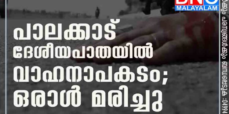 പാലക്കാട് ദേശീയപാതയിൽ വാഹനാപകടം; ഒരാൾ മരിച്ചു