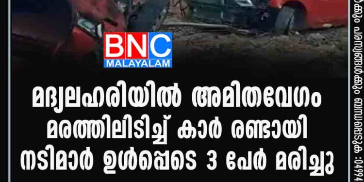 മദ്യലഹരിയില്‍ അമിതവേഗം, മരത്തിലിടിച്ച് കാര്‍ രണ്ടായി: നടിമാര്‍ ഉള്‍പ്പെടെ 3 പേര്‍ മരിച്ചു