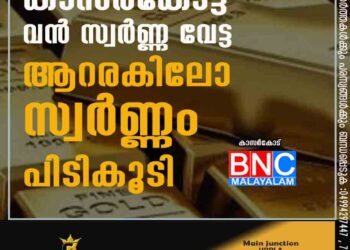 കാസർകോട്ട് വൻ സ്വർണ്ണ വേട്ട ആറരകിലോ സ്വർണ്ണം പിടികൂടി