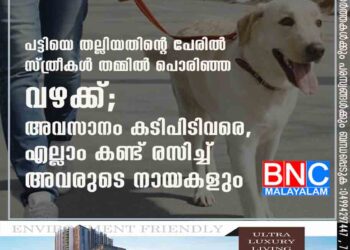 പട്ടിയെ തല്ലിയതിന്റെ പേരിൽ സ്ത്രീകൾ തമ്മിൽ പൊരിഞ്ഞ വഴക്ക്; അവസാനം കടിപിടിവരെ ,​ എല്ലാം കണ്ട് രസിച്ച് അവരുടെ നായകളും