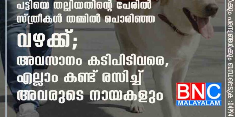 പട്ടിയെ തല്ലിയതിന്റെ പേരിൽ സ്ത്രീകൾ തമ്മിൽ പൊരിഞ്ഞ വഴക്ക്; അവസാനം കടിപിടിവരെ ,​ എല്ലാം കണ്ട് രസിച്ച് അവരുടെ നായകളും