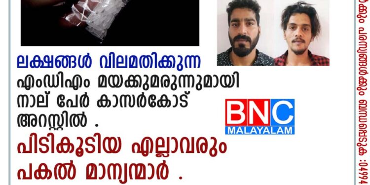 ലക്ഷങ്ങൾ വിലമതിക്കുന്ന എംഡിഎം മയക്കുമരുന്നുമായി നാല് പേർ കാസർകോട് അറസ്റ്റിൽ . പിടികൂടിയ എല്ലാവരും പകൽ മാന്യന്മാർ .