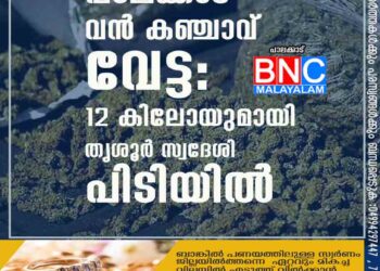 പാലക്കാട് വൻ കഞ്ചാവ് വേട്ട: 12 കിലോയുമായി തൃശൂർ സ്വദേശി പിടിയിൽ