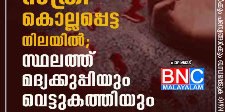 റോഡരികിൽ സ്ത്രീ കൊല്ലപ്പെട്ട നിലയിൽ; സ്ഥലത്ത് മദ്യക്കുപ്പിയും വെട്ടുകത്തിയും