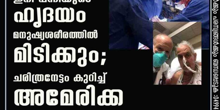 ഇനി പന്നിയുടെ ഹൃദയം മനുഷ്യശരീരത്തിൽ മിടിക്കും; ചരിത്രനേട്ടം കുറിച്ച് അമേരിക്ക