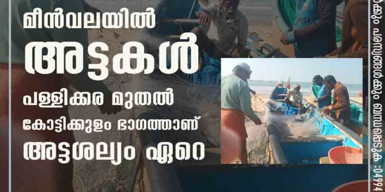 മത്സ്യതൊഴിലാളികൾക്ക് ഭീഷണിയായി മീൻവലയിൽ  അട്ടകൾ പള്ളിക്കര മുതൽ കോട്ടിക്കുളം  ഭാഗത്താണ്  അട്ടശല്യം ഏറെ 