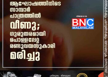 പിറന്നാൾ ആഘോഷത്തിനിടെ സാമ്പാർ പാത്രത്തിൽ വീണു; ഗുരുതരമായി പൊള്ളലേറ്റ രണ്ടുവയസുകാരി മരിച്ചു