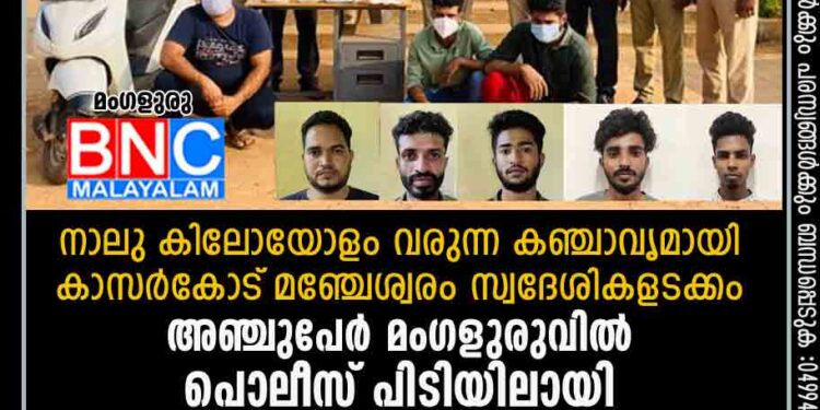 നാലു കിലോയോളം വരുന്ന കഞ്ചാവൃമായി കാസര്‍കോട്‌ മഞ്ചേശ്വരം സ്വദേശികളടക്കം അഞ്ചുപേര്‍ മംഗളുരുവില്‍ പൊലീസ്‌ പിടിയിലായി.