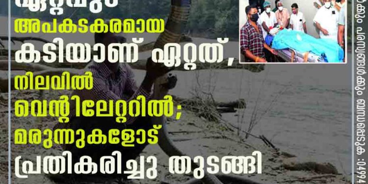 വാവ സുരേഷിന് ഇതുവരെയുള്ളതിൽവച്ച് ഏറ്റവും അപകടകരമായ കടിയാണ് ഏറ്റത്, നിലവിൽ വെന്റിലേറ്ററിൽ; മരുന്നുകളോട് പ്രതികരിച്ചു തുടങ്ങി