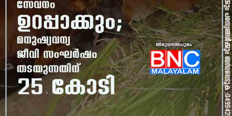 രാത്രിയിലും മൃഗഡോക്ടർമാരുടെ സേവനം ഉറപ്പാക്കും; മനുഷ്യവന്യ ജീവി സംഘർഷം തടയുന്നതിന് 25 കോടി