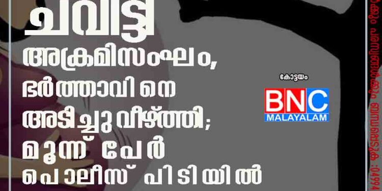 പാലായിൽ ​ഗർഭിണിയുടെ വയറ്റിൽ ചവിട്ടി അക്രമിസംഘം, ഭർത്താവിനെ അടിച്ചുവീഴ്ത്തി; മൂന്ന് പേർ പൊലീസ് പിടിയിൽ