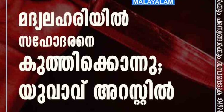 മദ്യലഹരിയിൽ സഹോദരനെ കുത്തിക്കൊന്നു; യുവാവ് അറസ്റ്റിൽ