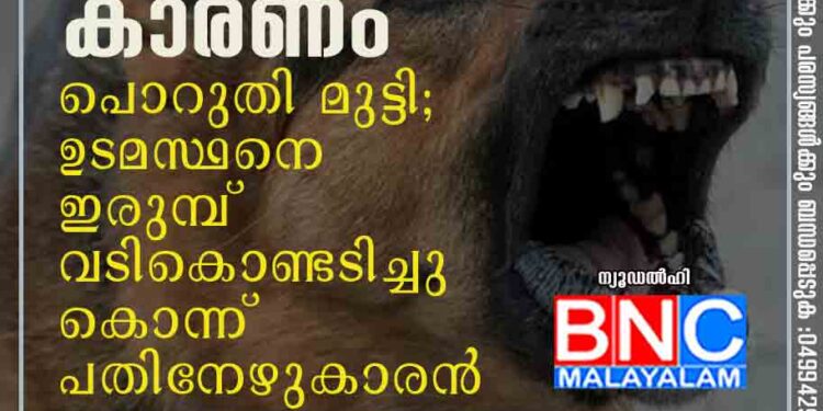 നായയുടെ നിർത്താതെയുള്ള കുര കാരണം പൊറുതി മുട്ടി; ഉടമസ്ഥനെ ഇരുമ്പ് വടികൊണ്ടടിച്ചു കൊന്ന് പതിനേഴുകാരൻ