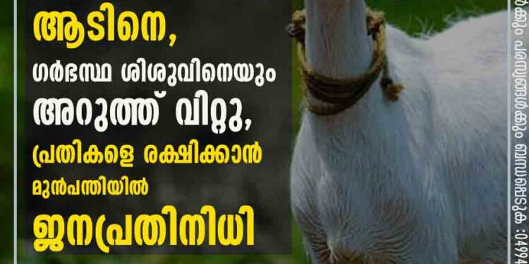 കണ്ണില്ലാത്ത ക്രൂരത: മോഷ്ടിച്ച് ഇറച്ചിയാക്കി വിറ്റത് പൂർണ ഗർഭിണിയായ ആടിനെ, ഗർഭസ്ഥ ശിശുവിനെയും അറുത്ത് വിറ്റു, പ്രതികളെ രക്ഷിക്കാൻ മുൻപന്തിയിൽ ജനപ്രതിനിധി