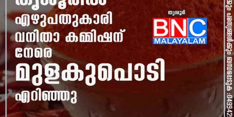 'നടപടിയില്‍ തൃപ്തി പോര'; തൃശൂരിൽ എഴുപതുകാരി വനിതാ കമ്മിഷന് നേരെ മുളകുപൊടി എറിഞ്ഞു