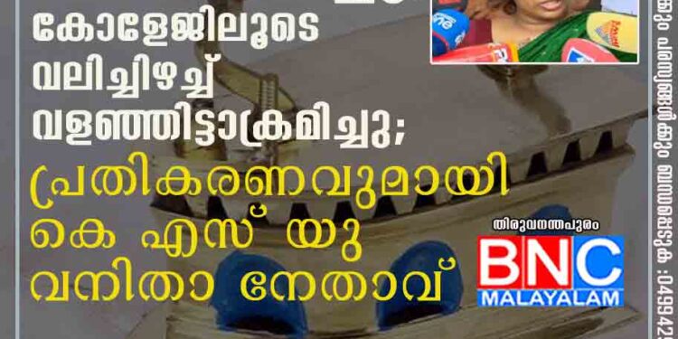 തേപ്പ്പെട്ടികൊണ്ട് തലയ്ക്കടിച്ചു, കോളേജിലൂടെ വലിച്ചിഴച്ച് വളഞ്ഞിട്ടാക്രമിച്ചു; പ്രതികരണവുമായി കെഎസ്‌യു വനിതാ നേതാവ്