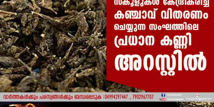 'സ്‌കൂളുകൾ കേന്ദ്രീകരിച്ച് കഞ്ചാവ് വിതരണം ചെയ്യുന്ന സംഘത്തിലെ പ്രധാന കണ്ണി അറസ്റ്റിൽ';