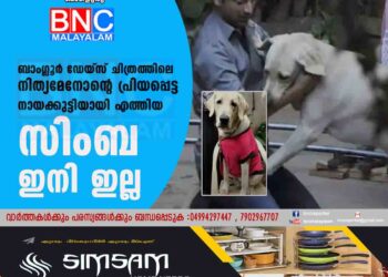 ബാംഗ്ലൂര്‍ ഡേയ്സ് ചിത്രത്തിലെ നിത്യമേനോന്റെ പ്രിയപ്പെട്ട നായക്കുട്ടിയായി എത്തിയ സിംബ ഇനി ഇല്ല.