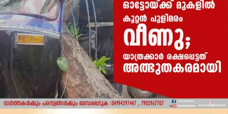 മലപ്പുറത്ത് ഓട്ടോയ്ക്ക് മുകളിൽ കൂറ്റൻ പുളിമരം വീണു; യാത്രക്കാർ രക്ഷപ്പെട്ടത് അത്ഭുതകരമായി