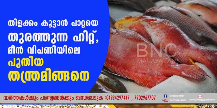 തിളക്കം കൂട്ടാൻ പാറ്റയെ തുരത്തുന്ന ഹിറ്റ്, മീൻ വിപണിയിലെ പുതിയ തന്ത്രമിങ്ങനെ